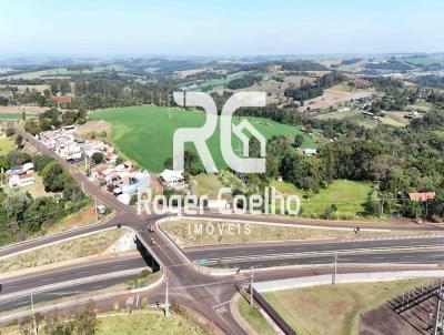 rea para Loteamento para Venda, em Apucarana, bairro Nova Ucrania