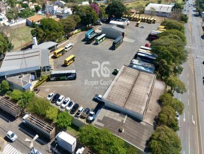 Terreno para Venda, em Apucarana, bairro Centro