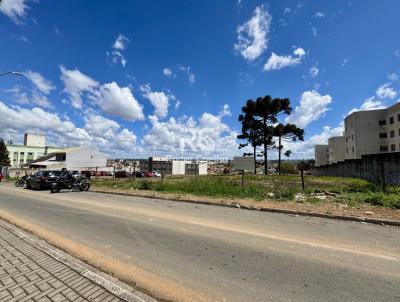 Terreno para Permuta para Venda, em Pinhais, bairro Jardim Amlia