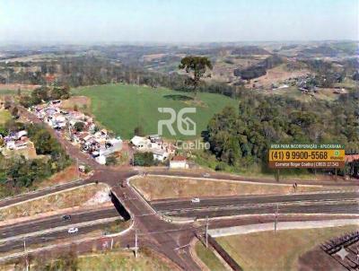 imagem-miniatura
